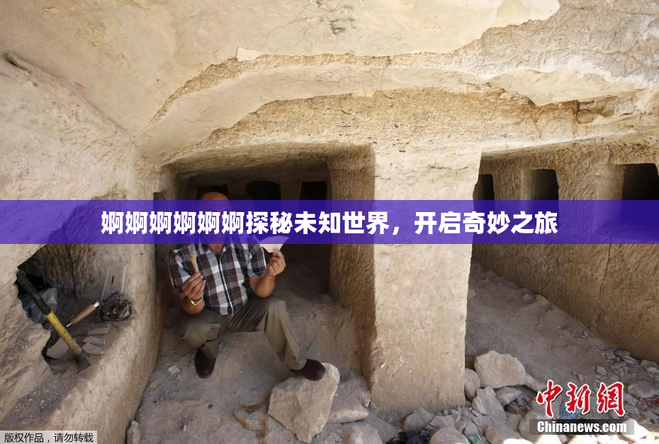 婀婀婀婀婀婀探秘未知世界，开启奇妙之旅