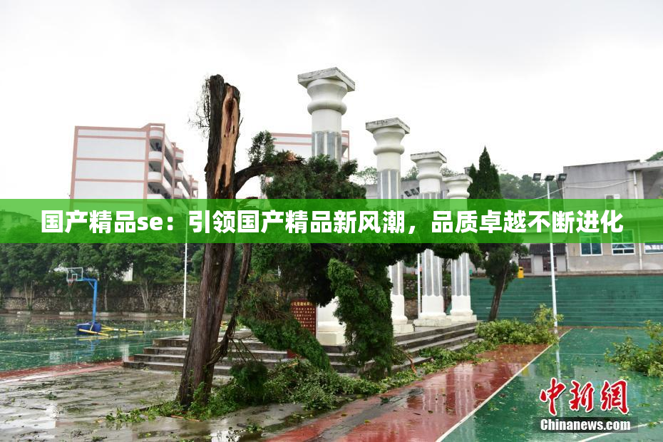 国产精品se：引领国产精品新风潮，品质卓越不断进化