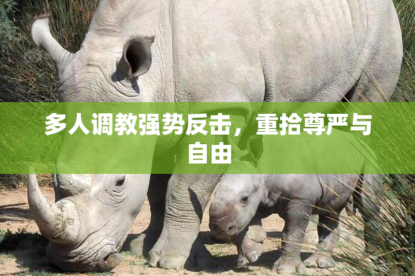 多人调教强势反击，重拾尊严与自由