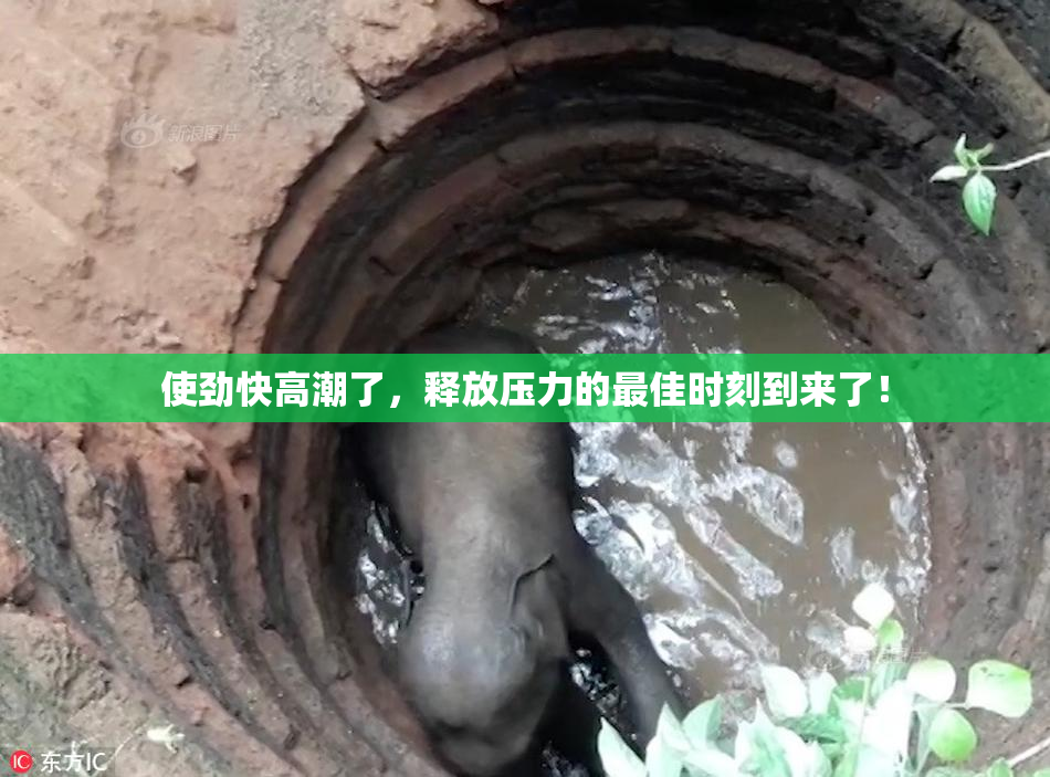 使劲快高潮了，释放压力的最佳时刻到来了！