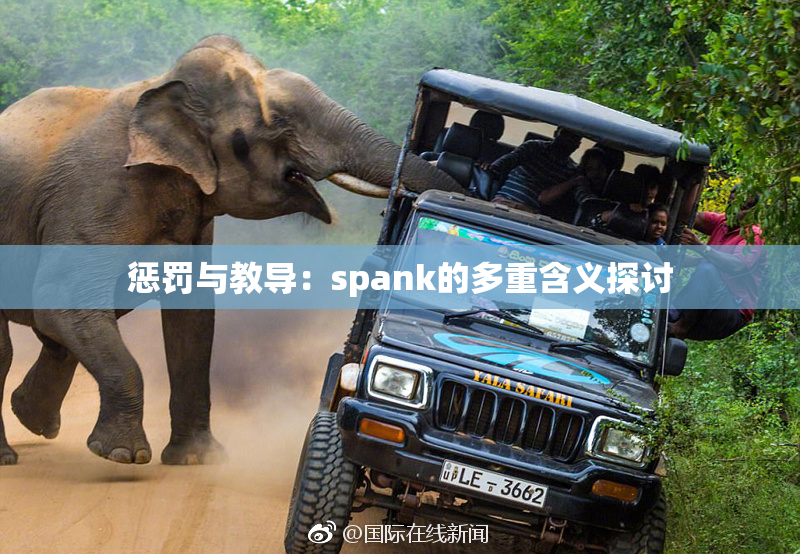 惩罚与教导：spank的多重含义探讨