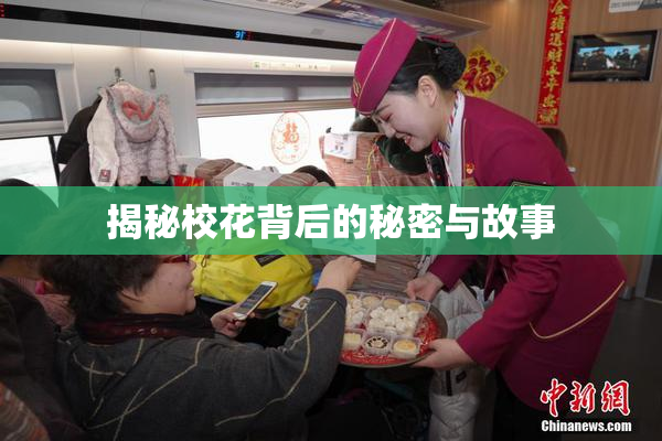 揭秘校花背后的秘密与故事