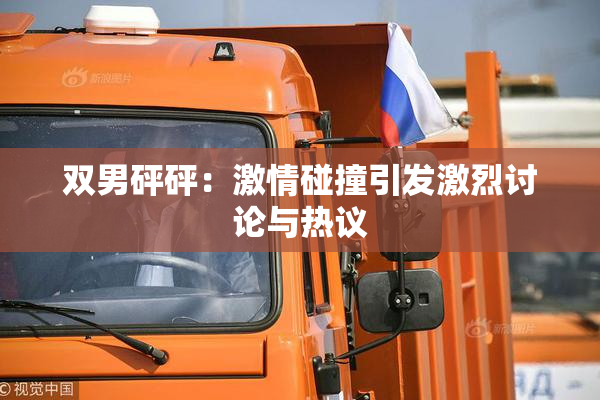 双男砰砰：激情碰撞引发激烈讨论与热议
