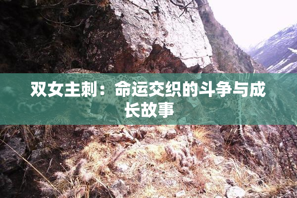 双女主刺：命运交织的斗争与成长故事