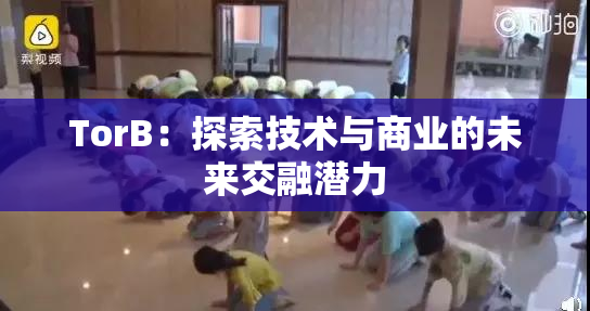 TorB：探索技术与商业的未来交融潜力
