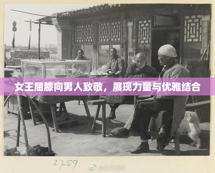 女王屈膝向男人致敬，展现力量与优雅结合