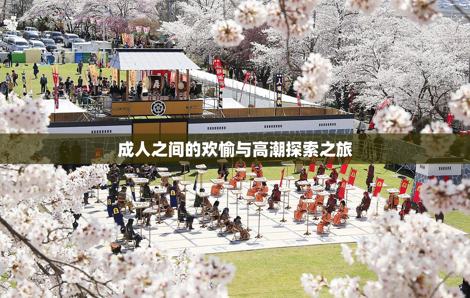 成人之间的欢愉与高潮探索之旅