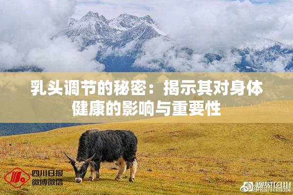 乳头调节的秘密：揭示其对身体健康的影响与重要性