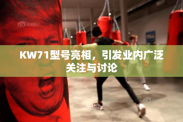 KW71型号亮相，引发业内广泛关注与讨论