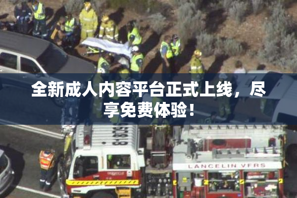 全新成人内容平台正式上线，尽享免费体验！
