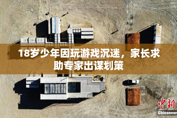 18岁少年因玩游戏沉迷，家长求助专家出谋划策