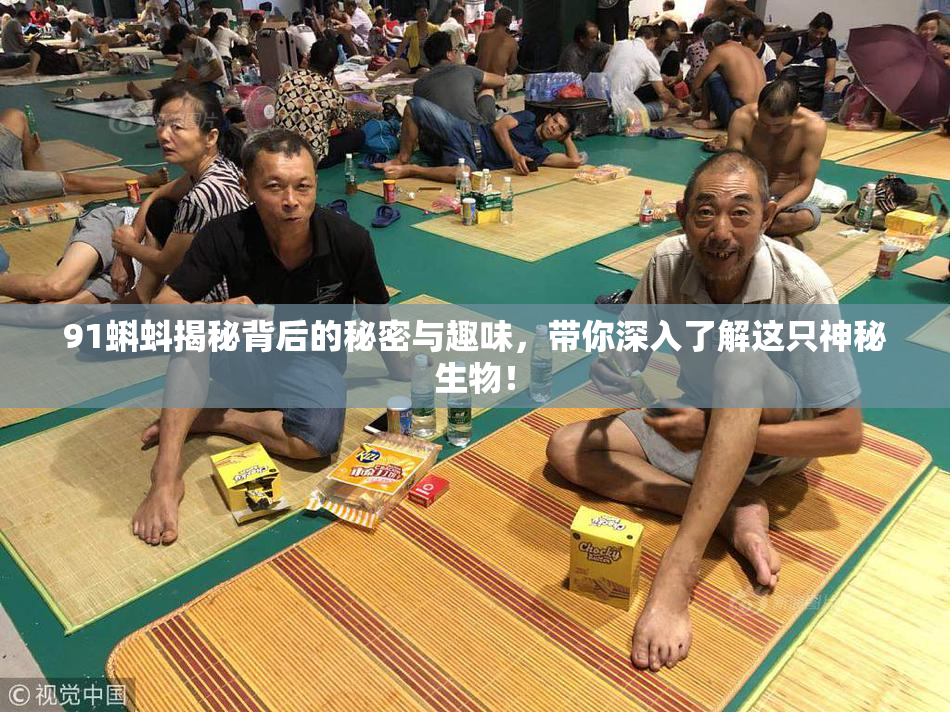 91蝌蚪揭秘背后的秘密与趣味，带你深入了解这只神秘生物！
