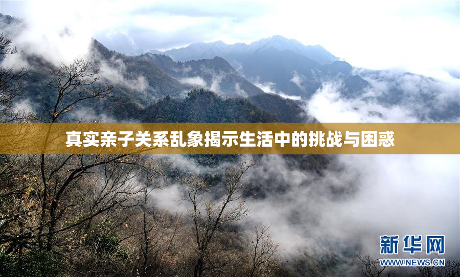 真实亲子关系乱象揭示生活中的挑战与困惑