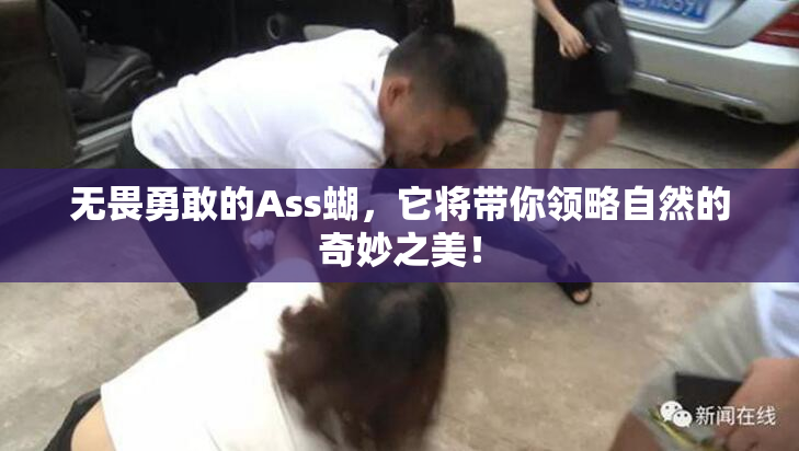 无畏勇敢的Ass蝴，它将带你领略自然的奇妙之美！