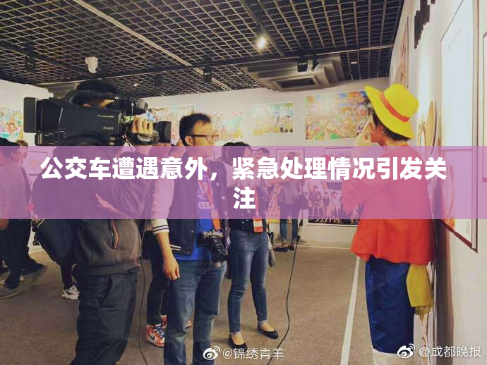 公交车遭遇意外，紧急处理情况引发关注