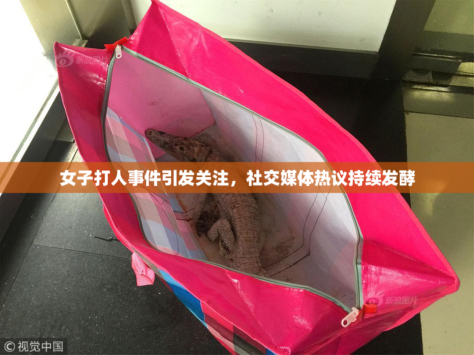 女子打人事件引发关注，社交媒体热议持续发酵