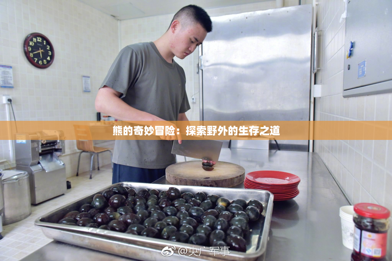 熊的奇妙冒险：探索野外的生存之道