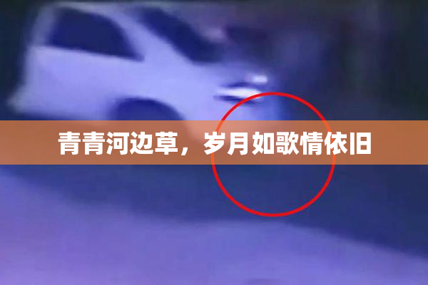 青青河边草，岁月如歌情依旧