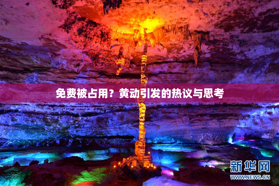 免费被占用？黄动引发的热议与思考