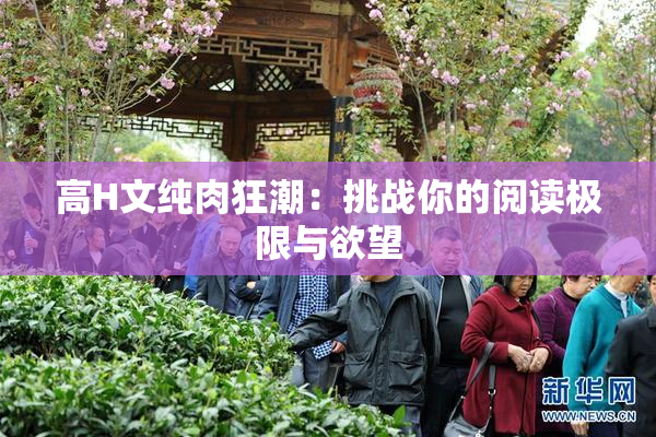 高H文纯肉狂潮：挑战你的阅读极限与欲望