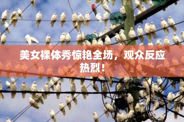 美女裸体秀惊艳全场，观众反应热烈！