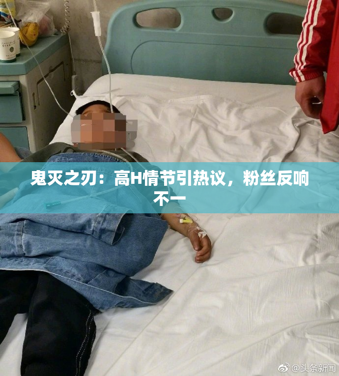 鬼灭之刃：高H情节引热议，粉丝反响不一