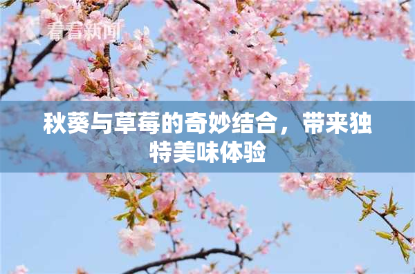 秋葵与草莓的奇妙结合，带来独特美味体验