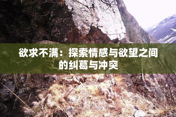 欲求不满：探索情感与欲望之间的纠葛与冲突