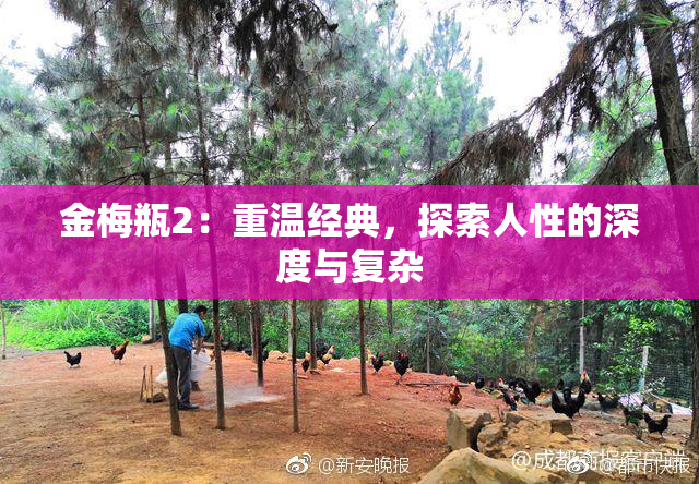 金梅瓶2：重温经典，探索人性的深度与复杂