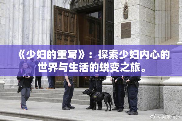 《少妇的重写》：探索少妇内心的世界与生活的蜕变之旅。