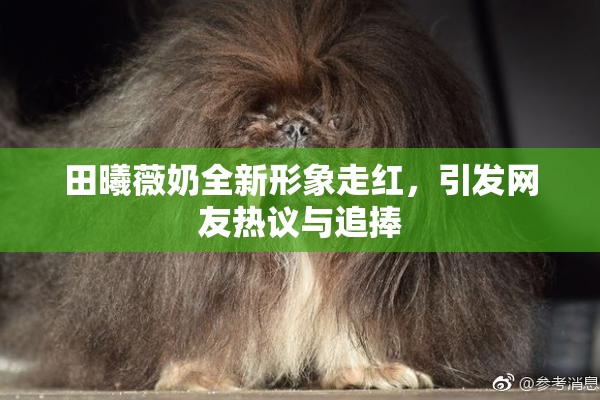 田曦薇奶全新形象走红，引发网友热议与追捧