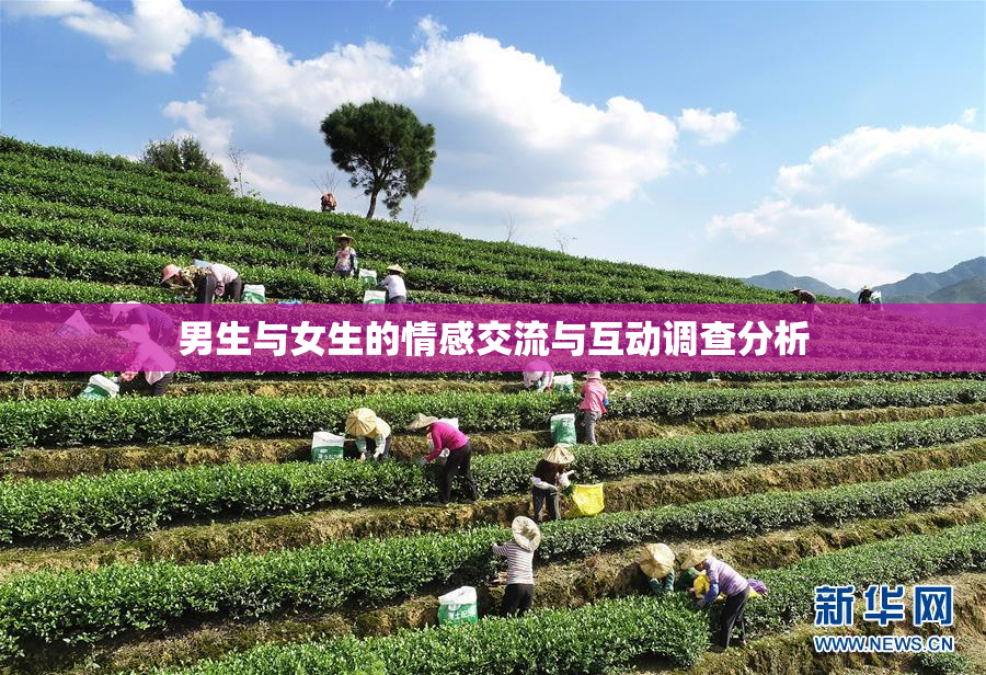 男生与女生的情感交流与互动调查分析