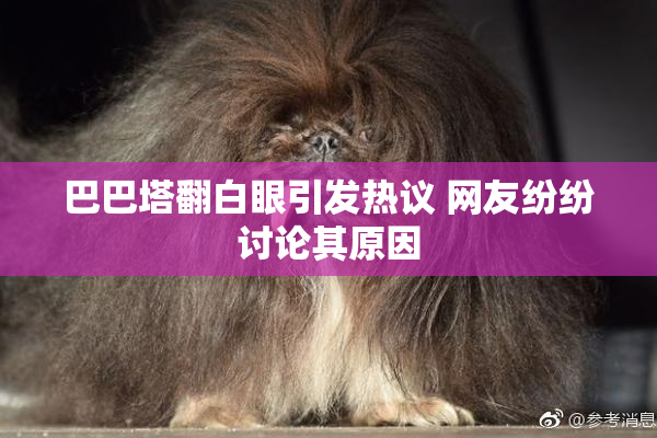 巴巴塔翻白眼引发热议 网友纷纷讨论其原因