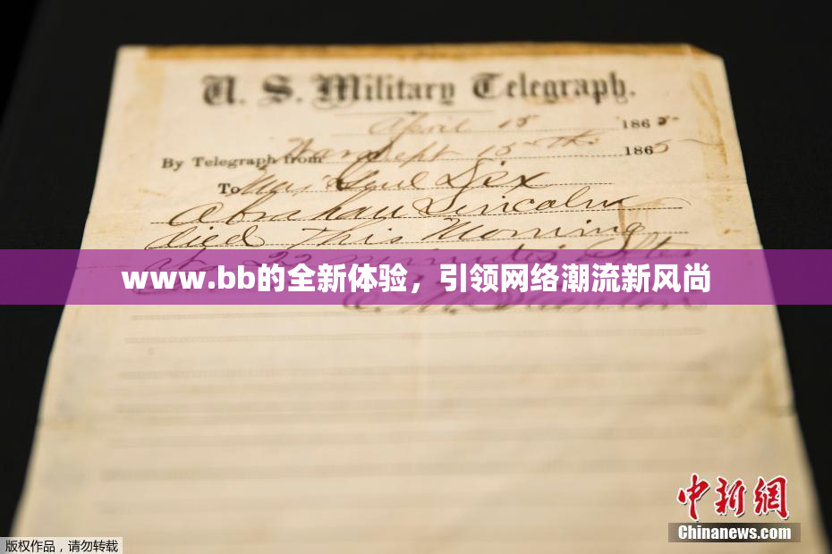 www.bb的全新体验，引领网络潮流新风尚
