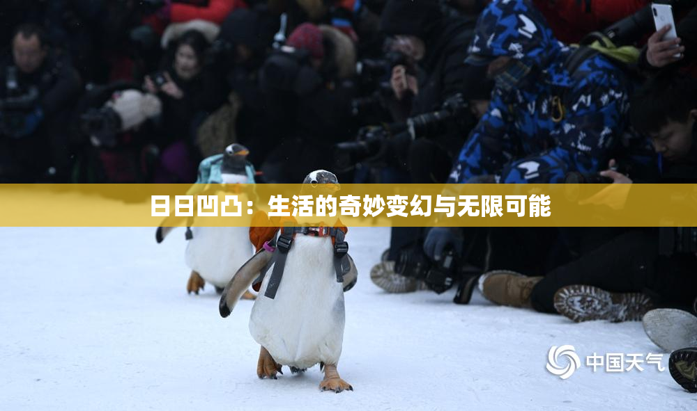 日日凹凸：生活的奇妙变幻与无限可能