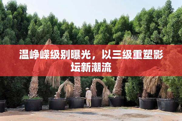 温峥嵘级别曝光，以三级重塑影坛新潮流