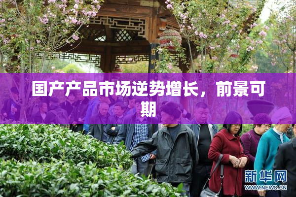 国产产品市场逆势增长，前景可期