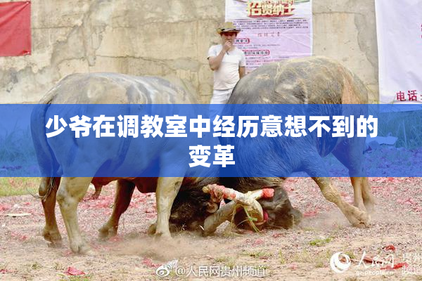 少爷在调教室中经历意想不到的变革