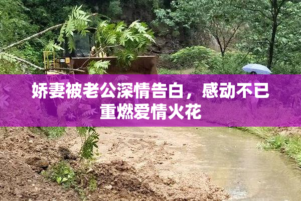 娇妻被老公深情告白，感动不已重燃爱情火花