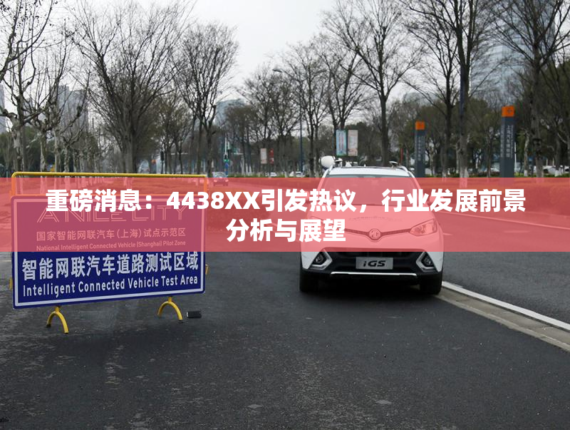 重磅消息：4438XX引发热议，行业发展前景分析与展望