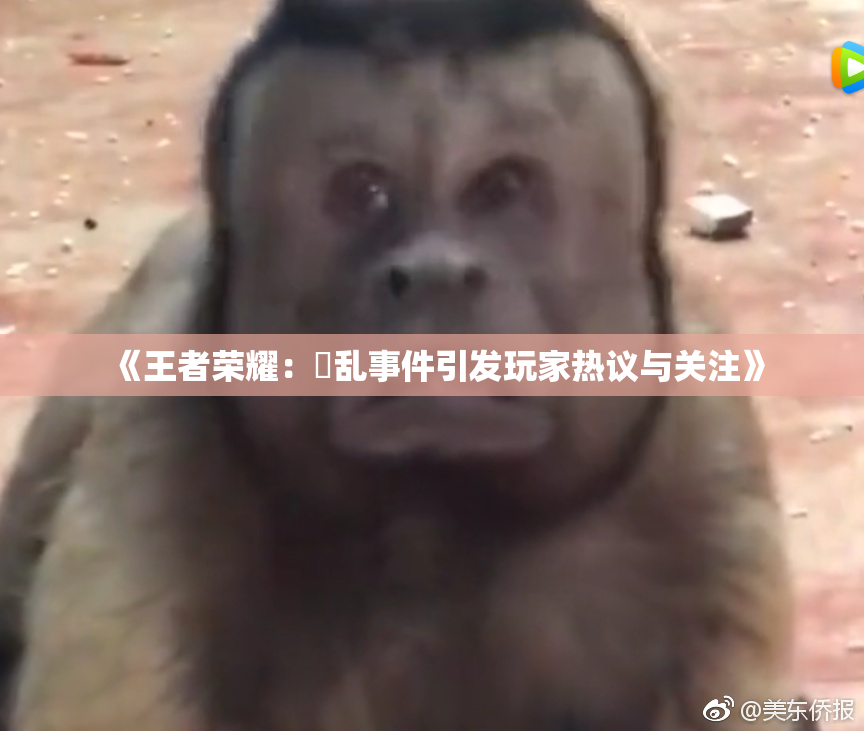 《王者荣耀：婬乱事件引发玩家热议与关注》