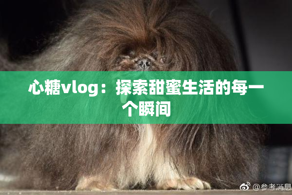 心糖vlog：探索甜蜜生活的每一个瞬间