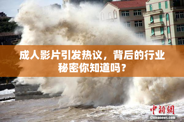 成人影片引发热议，背后的行业秘密你知道吗？