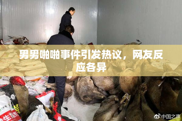 男男啪啪事件引发热议，网友反应各异