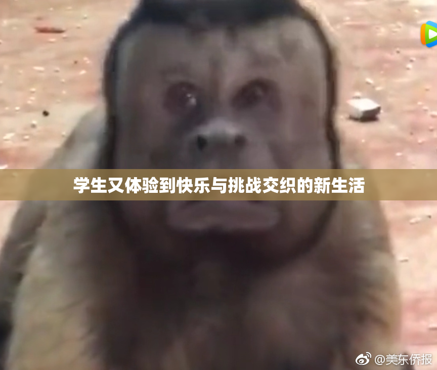 学生又体验到快乐与挑战交织的新生活