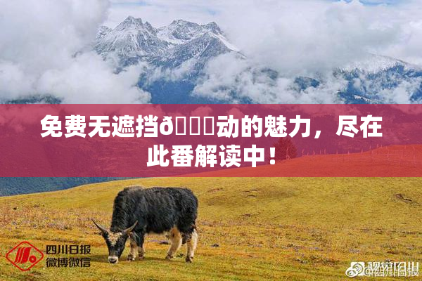 免费无遮挡🔞动的魅力，尽在此番解读中！