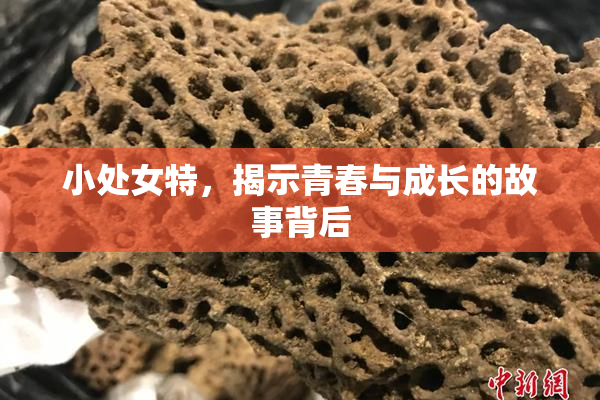 小处女特，揭示青春与成长的故事背后