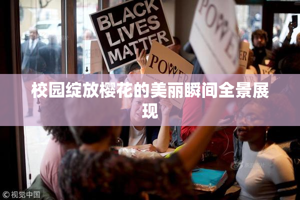 校园绽放樱花的美丽瞬间全景展现