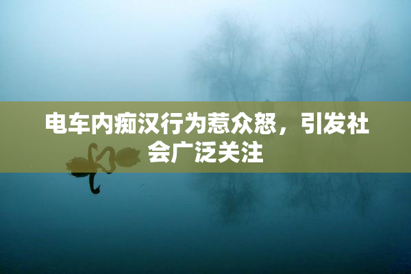电车内痴汉行为惹众怒，引发社会广泛关注