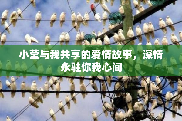 小莹与我共享的爱情故事，深情永驻你我心间